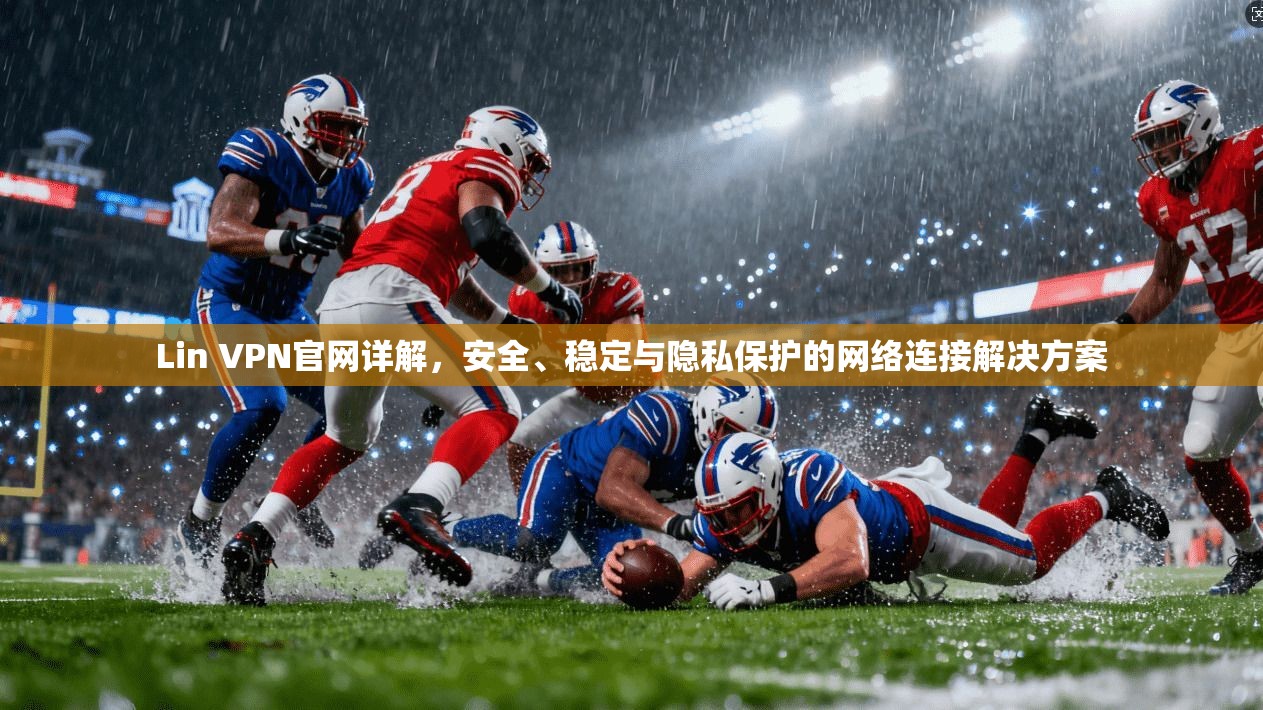 Lin VPN官网详解，安全、稳定与隐私保护的网络连接解决方案