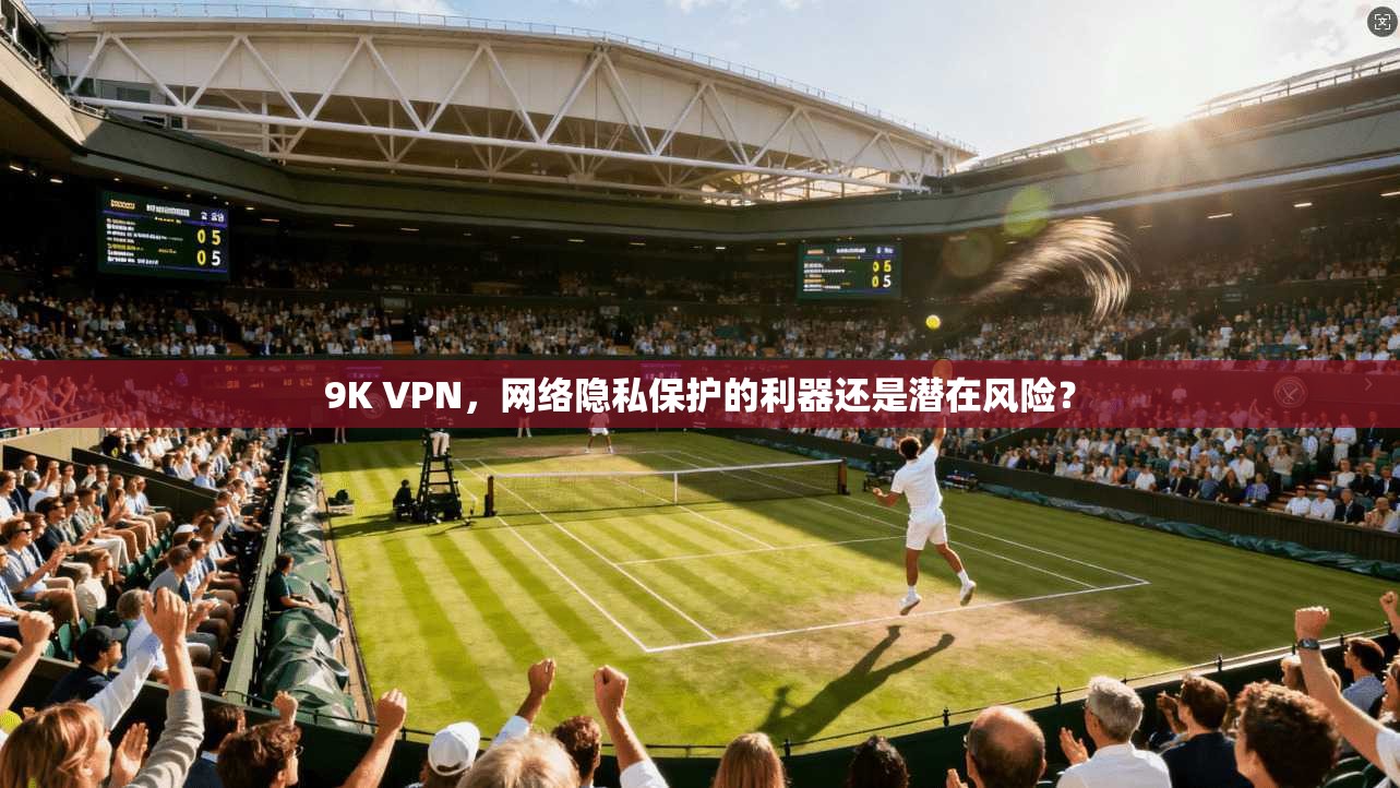 9K VPN，网络隐私保护的利器还是潜在风险？