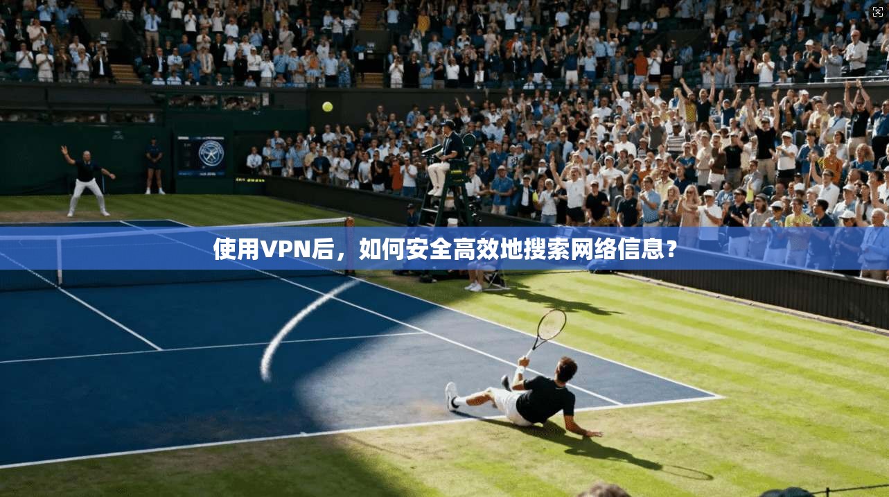 使用VPN后，如何安全高效地搜索网络信息？