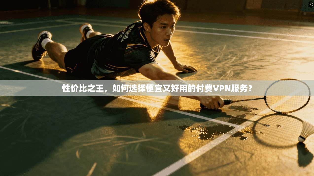 性价比之王，如何选择便宜又好用的付费VPN服务？