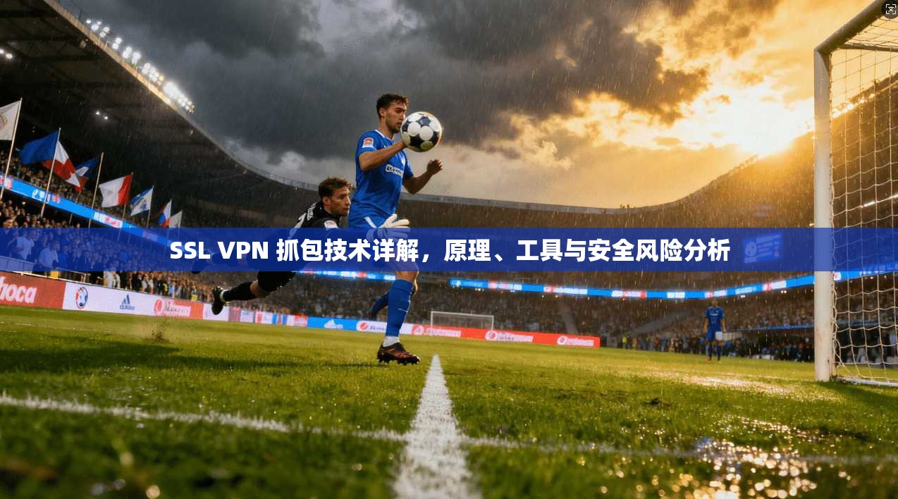 SSL VPN 抓包技术详解，原理、工具与安全风险分析