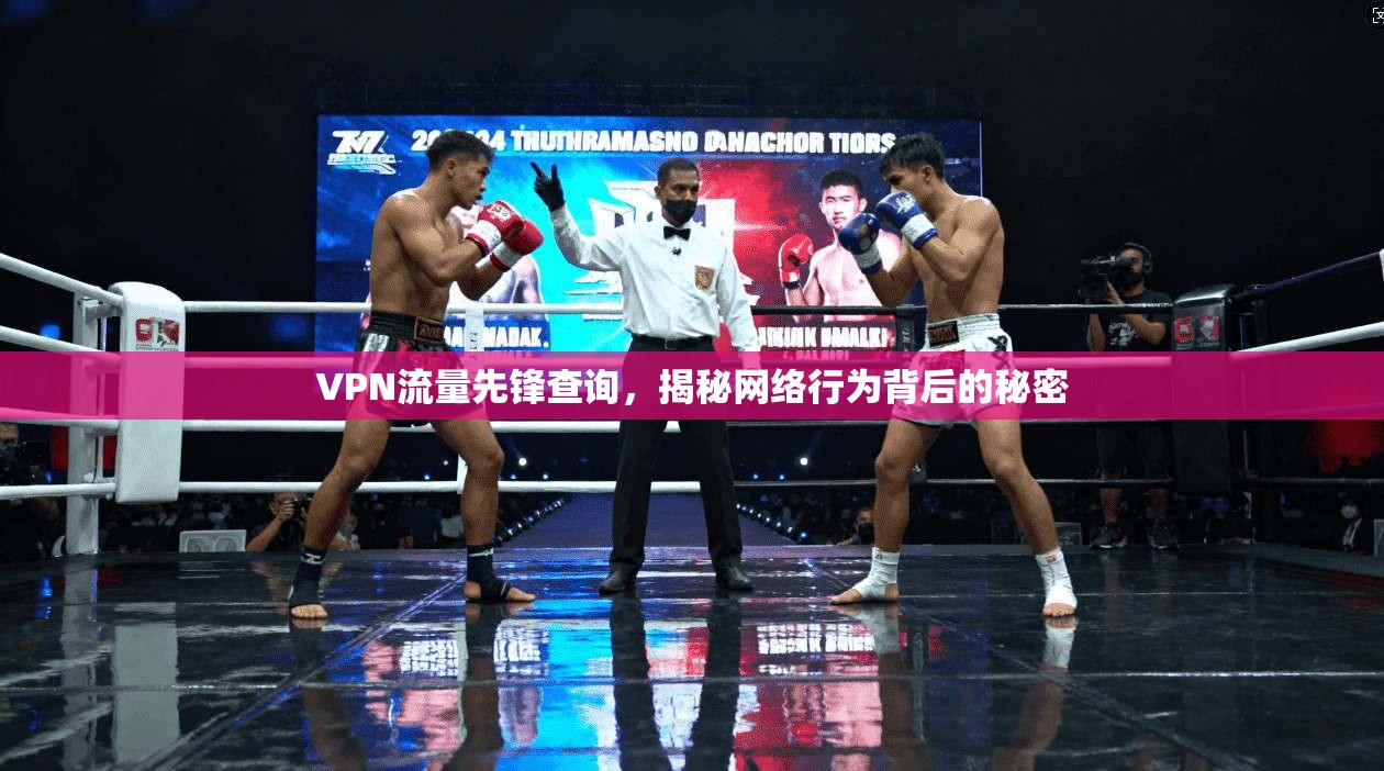 VPN流量先锋查询，揭秘网络行为背后的秘密