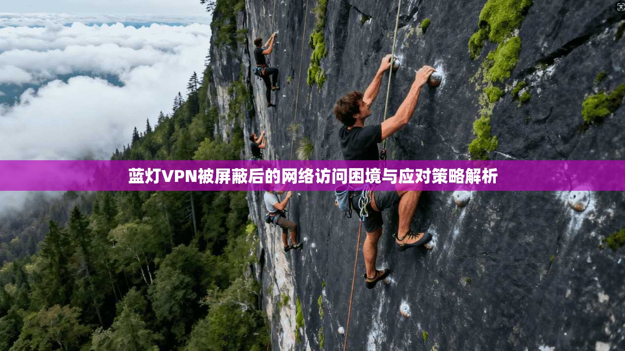 蓝灯VPN被屏蔽后的网络访问困境与应对策略解析