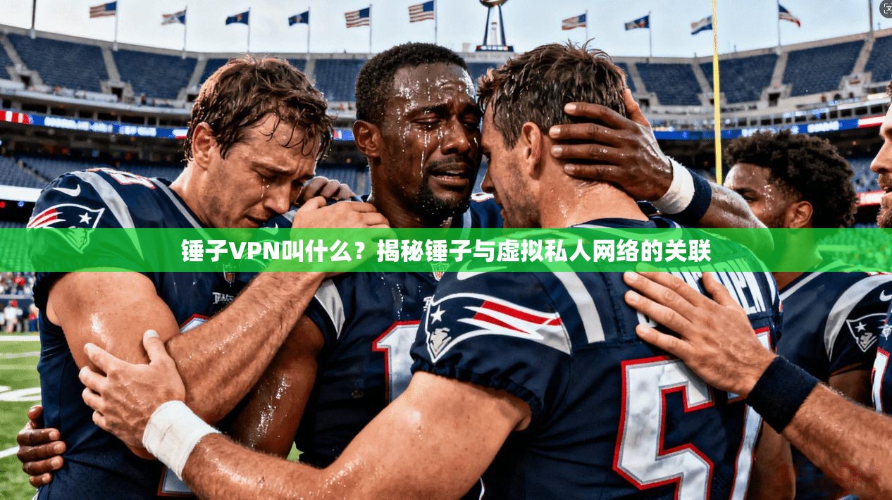 锤子VPN叫什么？揭秘锤子与虚拟私人网络的关联