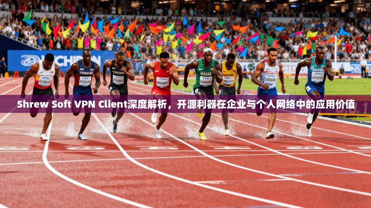 Shrew Soft VPN Client深度解析,开源利器在企业与个人网络中的应用价值