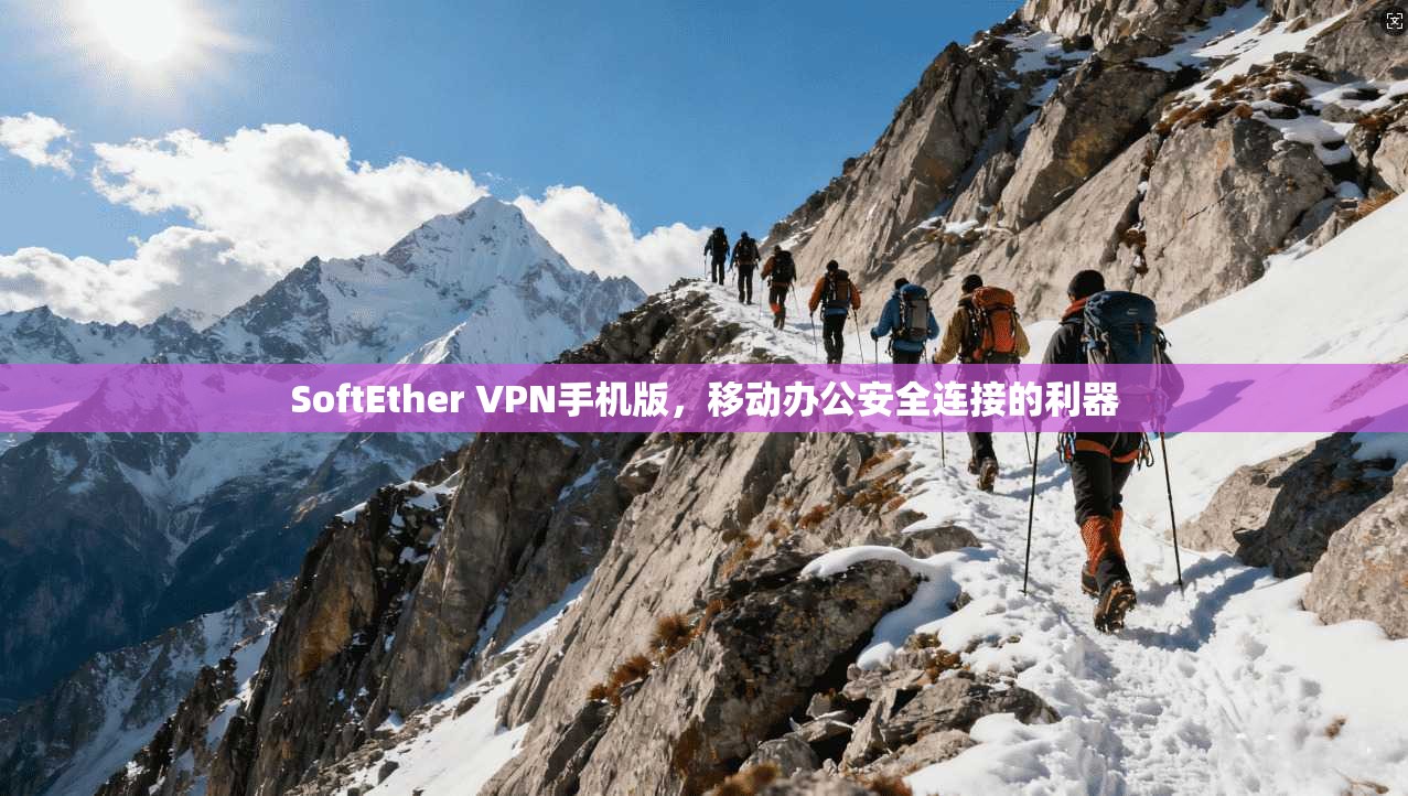 SoftEther VPN手机版，移动办公安全连接的利器