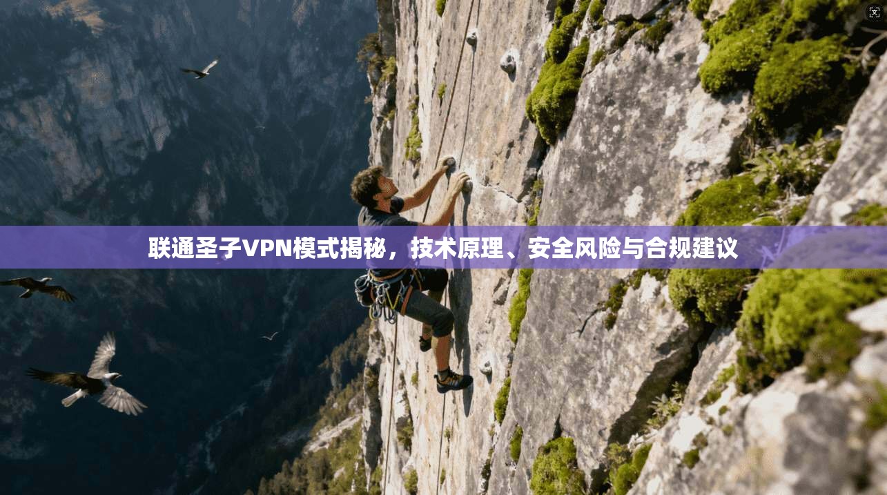联通圣子VPN模式揭秘，技术原理、安全风险与合规建议