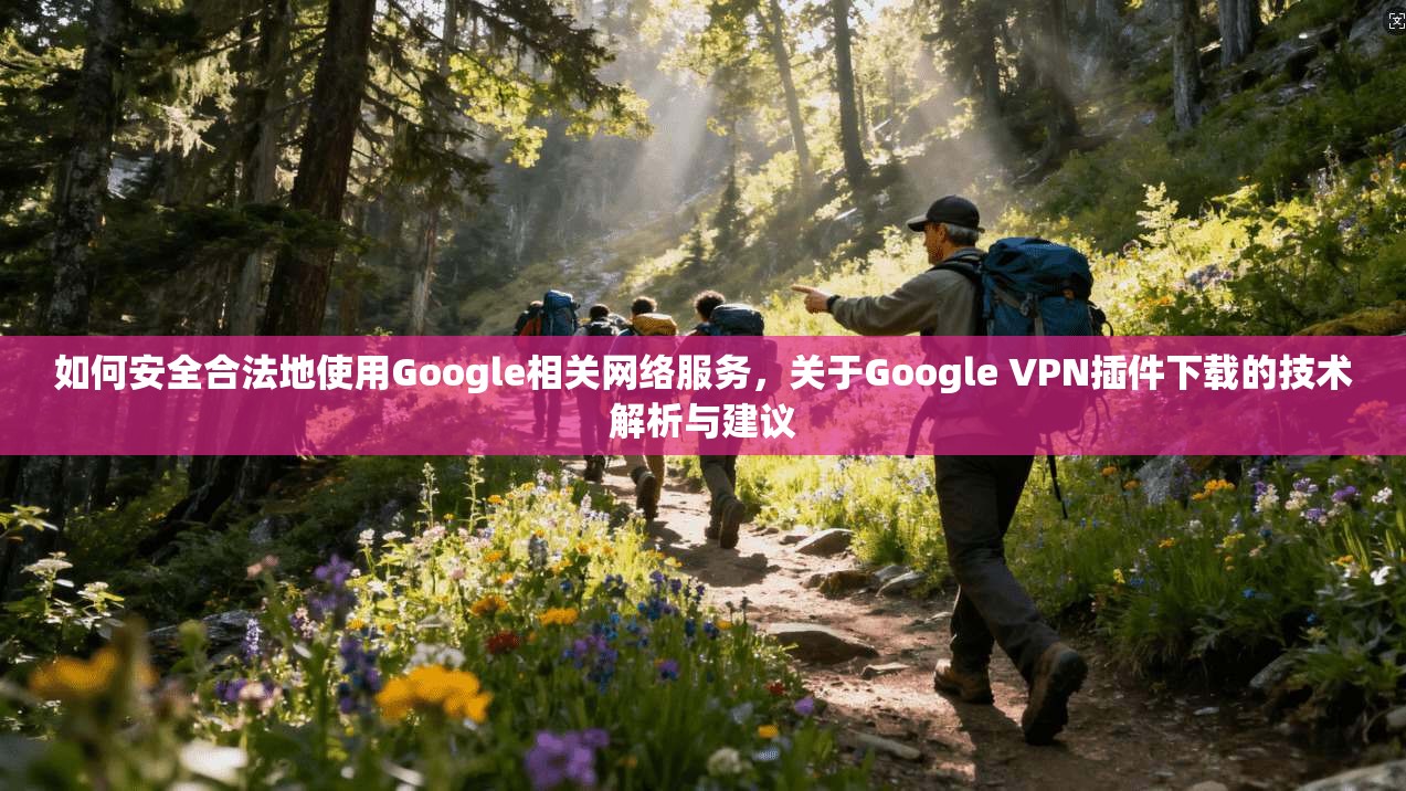 如何安全合法地使用Google相关网络服务，关于Google VPN插件下载的技术解析与建议