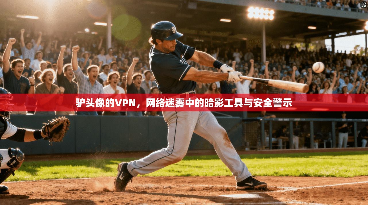 驴头像的VPN,网络迷雾中的暗影工具与安全警示
