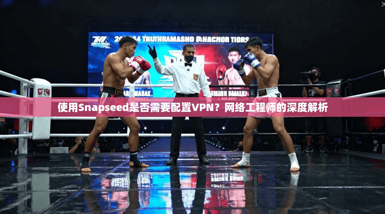 使用Snapseed是否需要配置VPN？网络工程师的深度解析