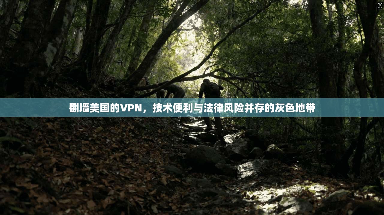 翻墙美国的VPN，技术便利与法律风险并存的灰色地带