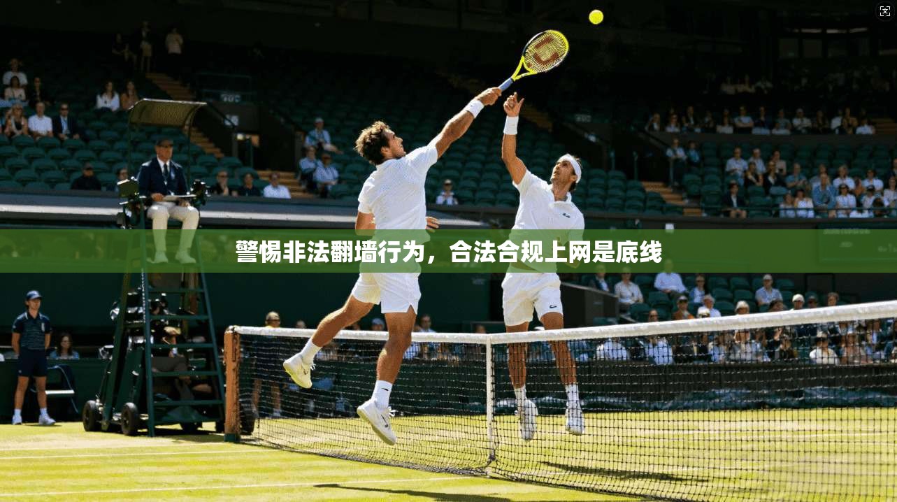 警惕非法翻墙行为，合法合规上网是底线