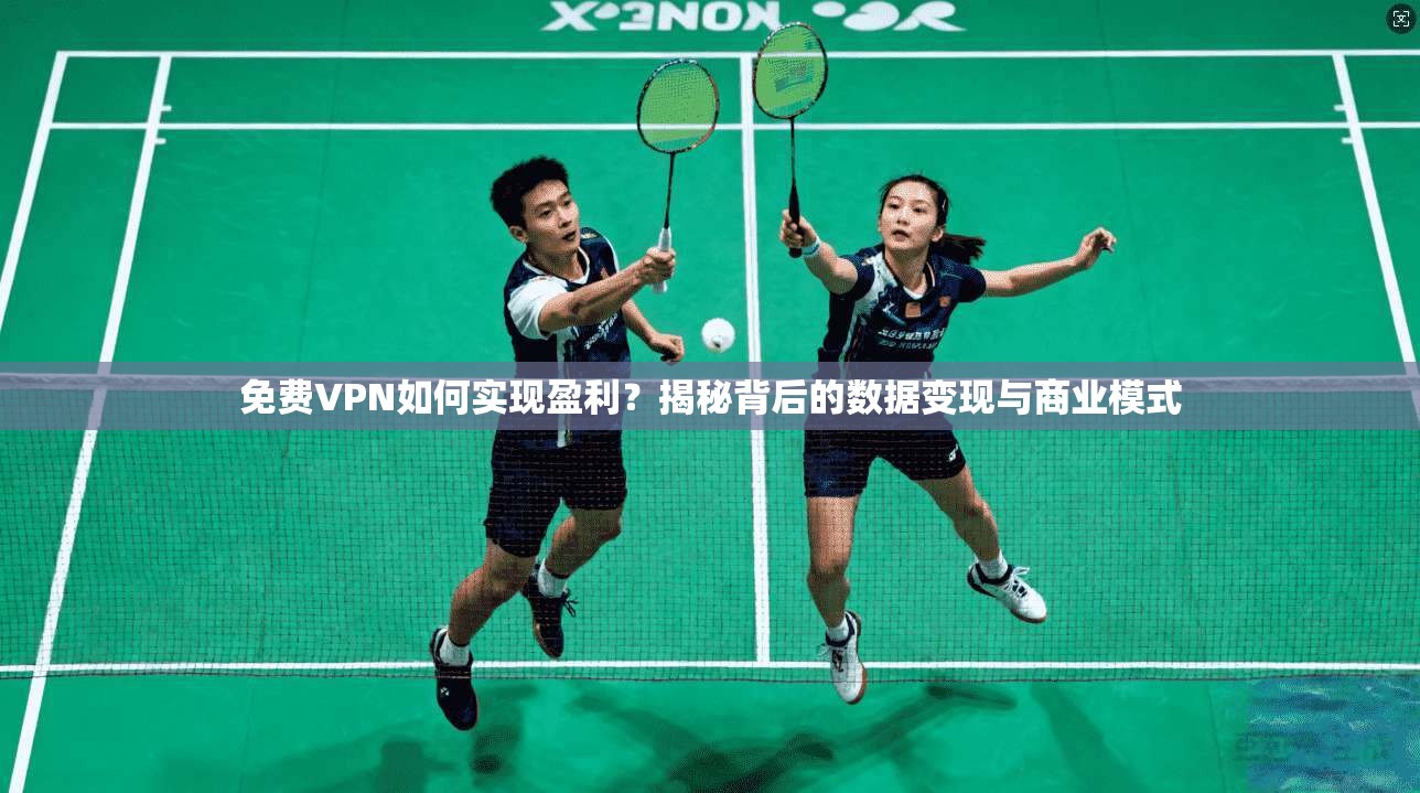 免费VPN如何实现盈利？揭秘背后的数据变现与商业模式