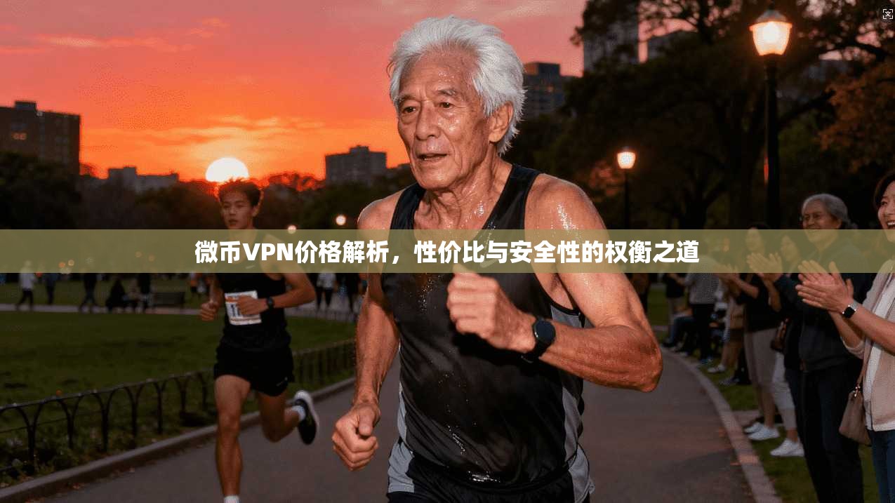 微币VPN价格解析，性价比与安全性的权衡之道