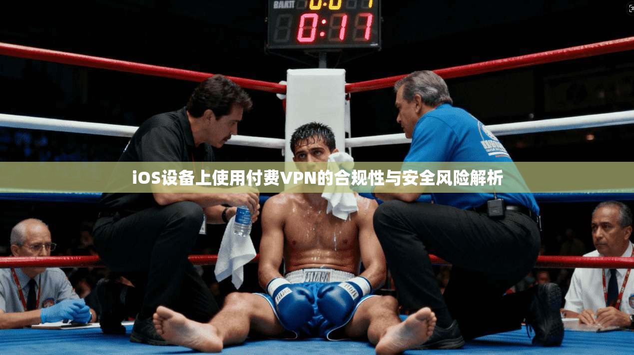iOS设备上使用付费VPN的合规性与安全风险解析