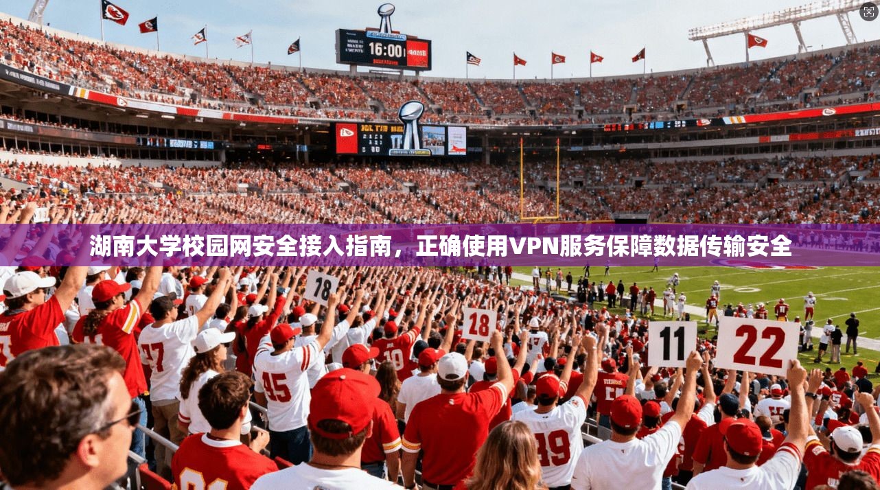 湖南大学校园网安全接入指南，正确使用VPN服务保障数据传输安全