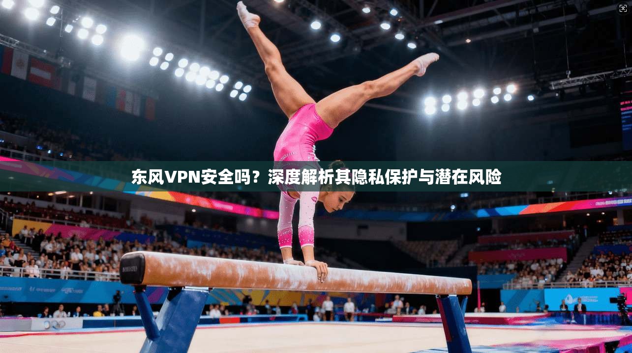 东风VPN安全吗？深度解析其隐私保护与潜在风险