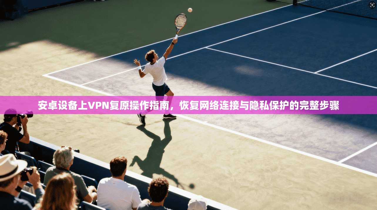安卓设备上VPN复原操作指南，恢复网络连接与隐私保护的完整步骤
