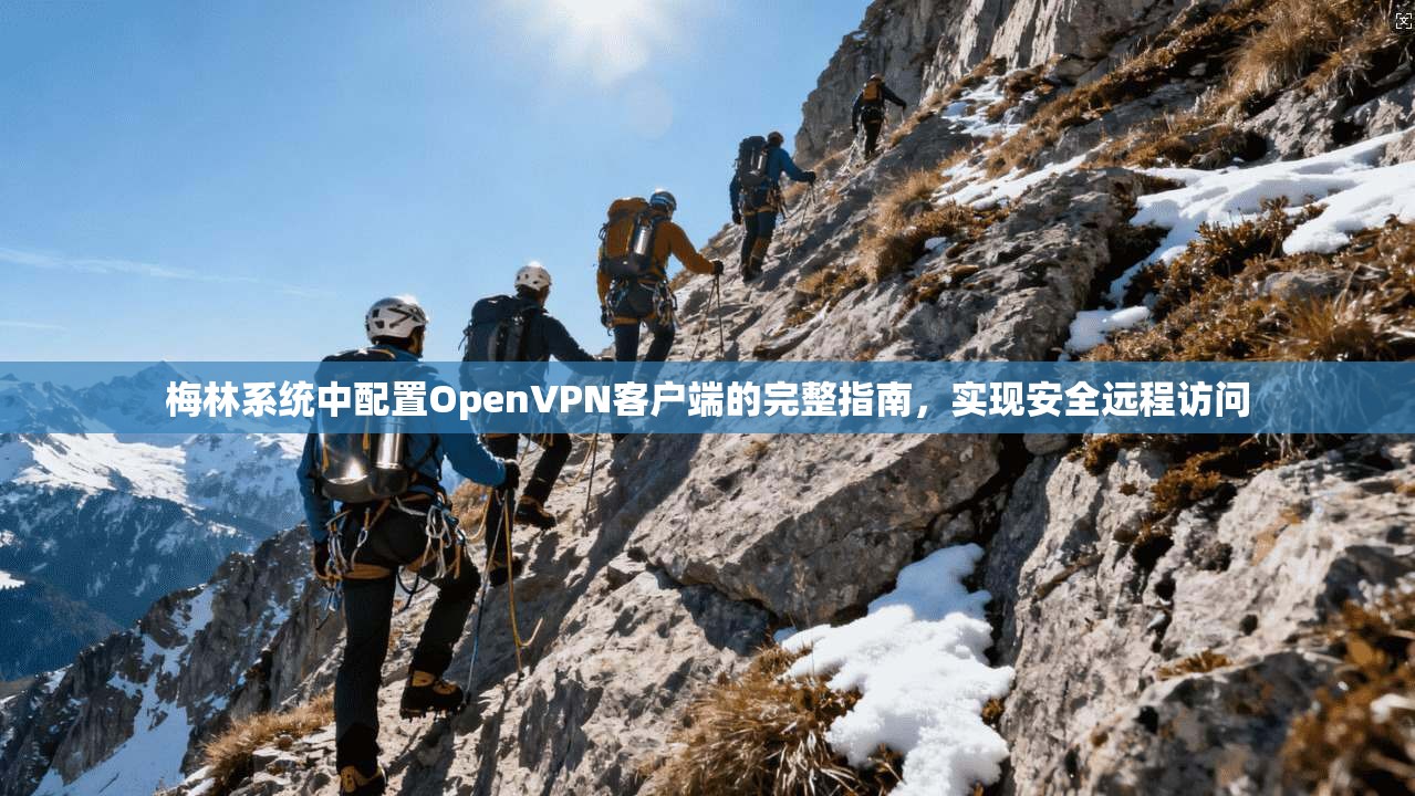 梅林系统中配置OpenVPN客户端的完整指南，实现安全远程访问