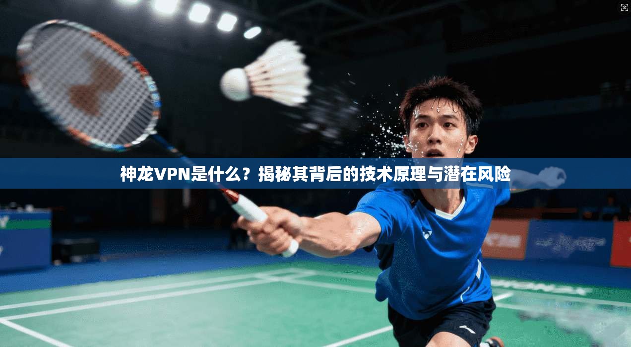 神龙VPN是什么？揭秘其背后的技术原理与潜在风险
