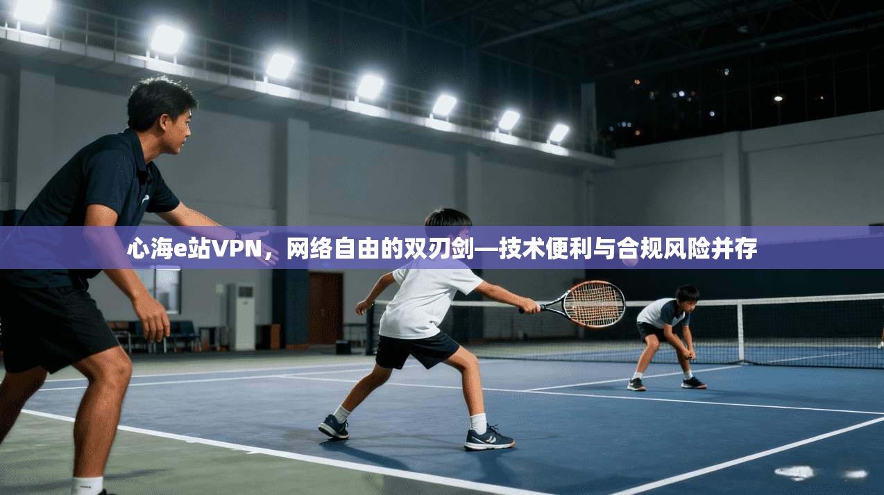心海e站VPN，网络自由的双刃剑—技术便利与合规风险并存