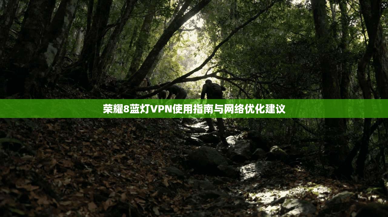 荣耀8蓝灯VPN使用指南与网络优化建议