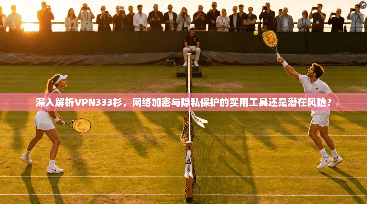 深入解析VPN333杉,网络加密与隐私保护的实用工具还是潜在风险?