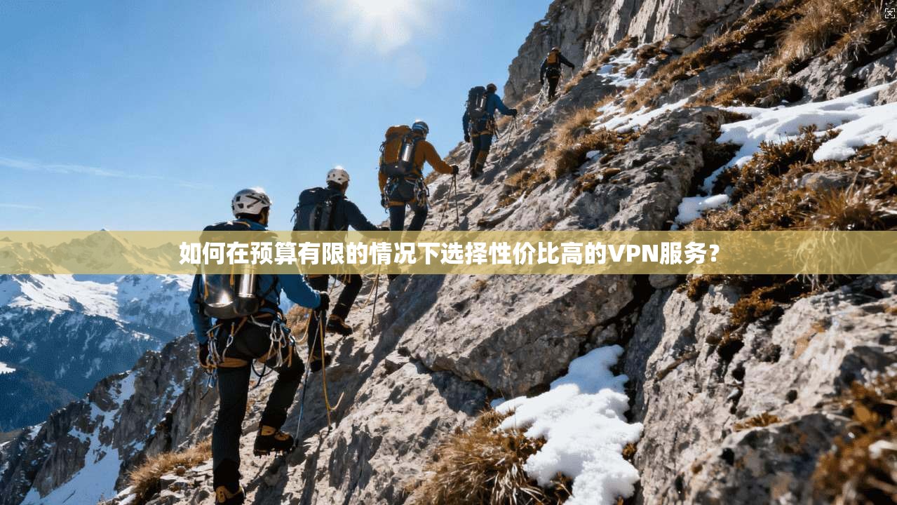 如何在预算有限的情况下选择性价比高的VPN服务？