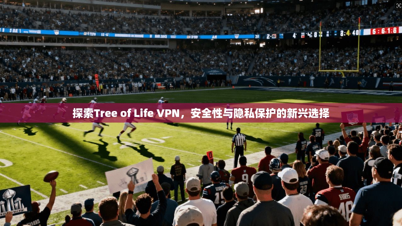 探索Tree of Life VPN,安全性与隐私保护的新兴选择