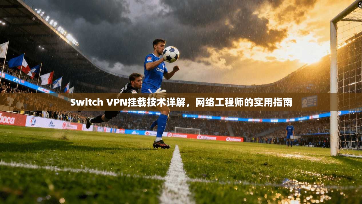 Switch VPN挂载技术详解，网络工程师的实用指南