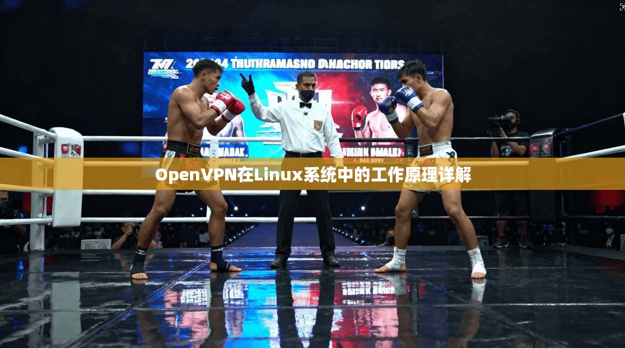 OpenVPN在Linux系统中的工作原理详解