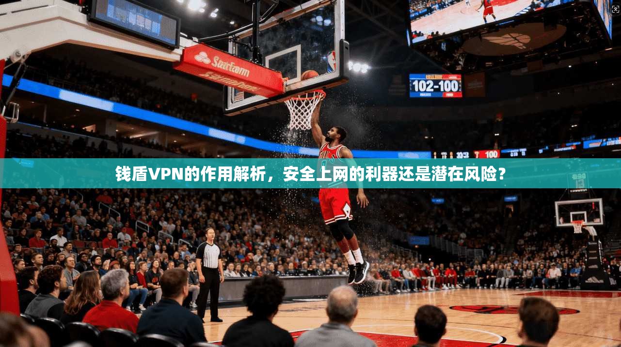 钱盾VPN的作用解析，安全上网的利器还是潜在风险？