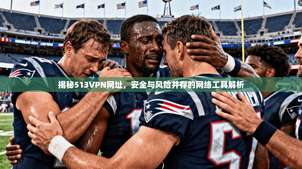 揭秘513VPN网址，安全与风险并存的网络工具解析