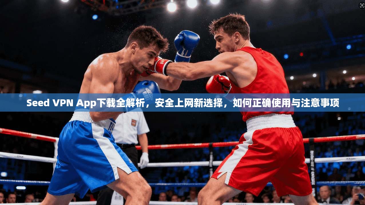 Seed VPN App下载全解析,安全上网新选择,如何正确使用与注意事项