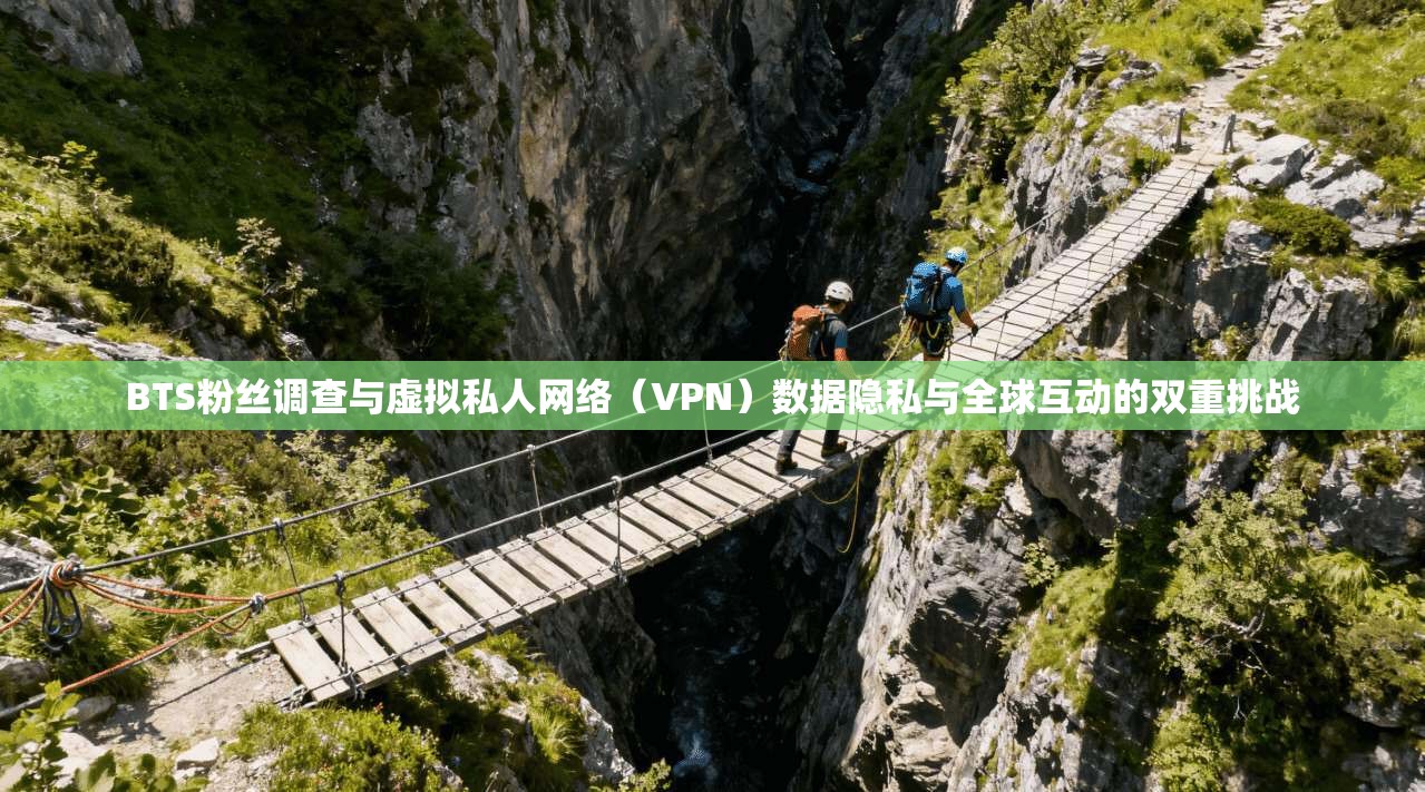 BTS粉丝调查与虚拟私人网络(VPN)数据隐私与全球互动的双重挑战