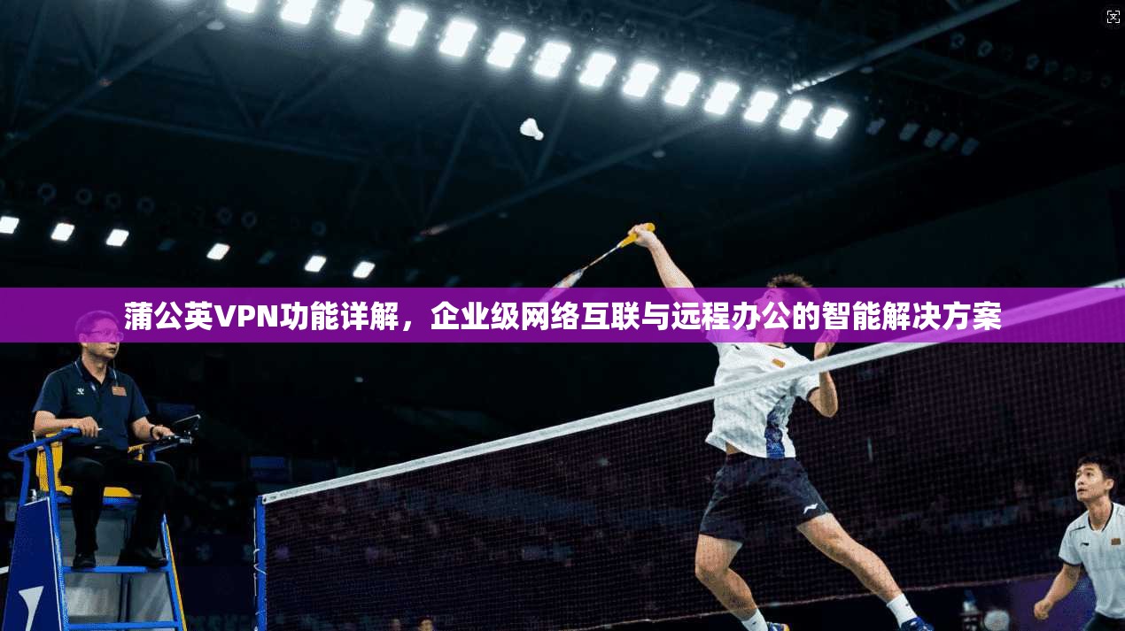 蒲公英VPN功能详解,企业级网络互联与远程办公的智能解决方案