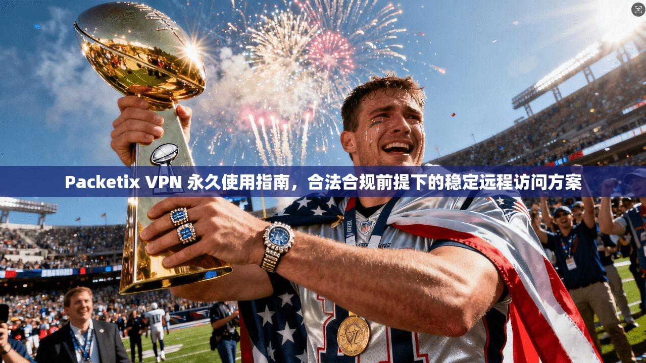 Packetix VPN 永久使用指南,合法合规前提下的稳定远程访问方案