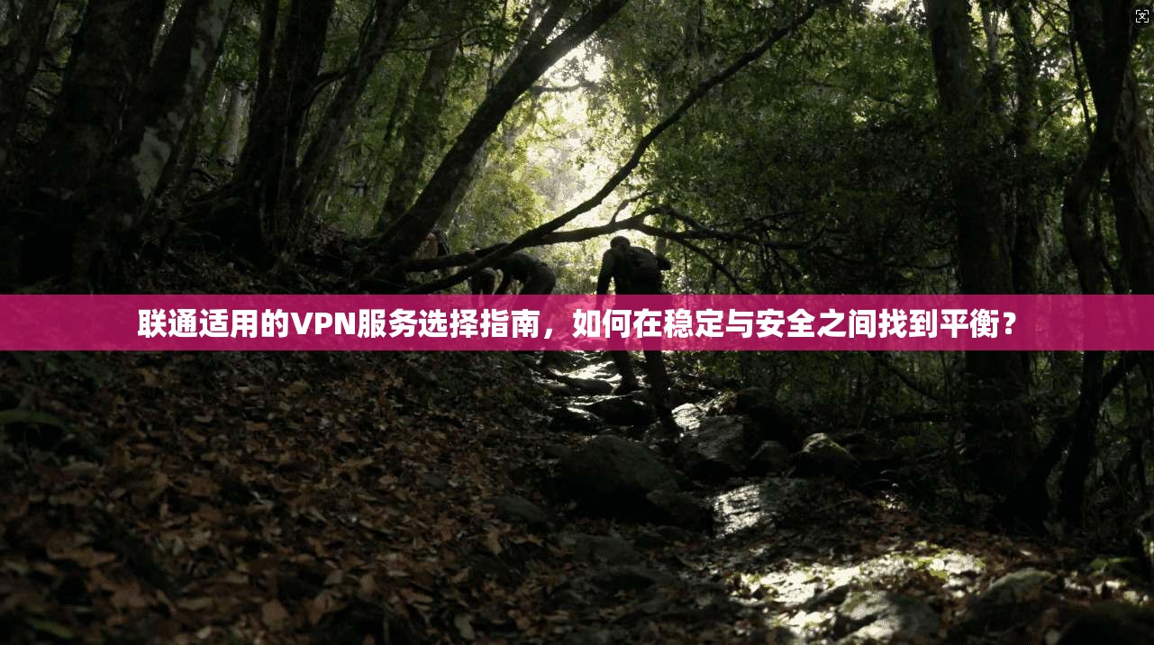 联通适用的VPN服务选择指南，如何在稳定与安全之间找到平衡？