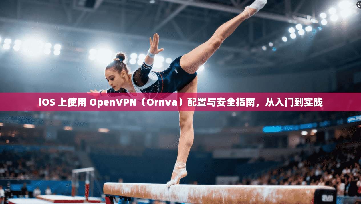 iOS 上使用 OpenVPN（Ornva）配置与安全指南，从入门到实践