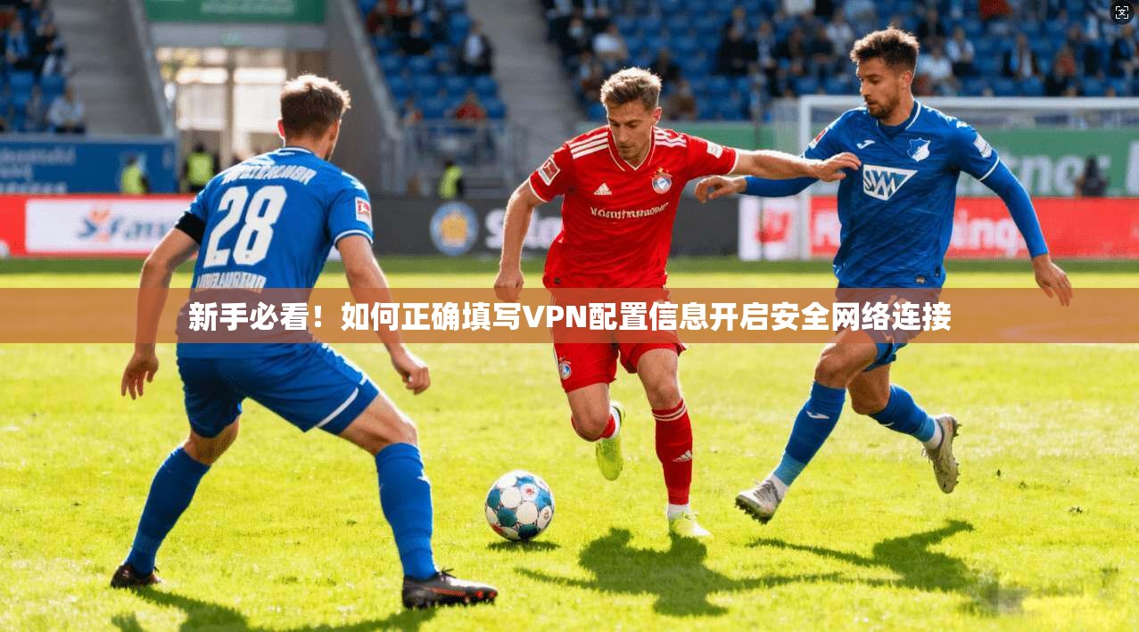 新手必看！如何正确填写VPN配置信息开启安全网络连接