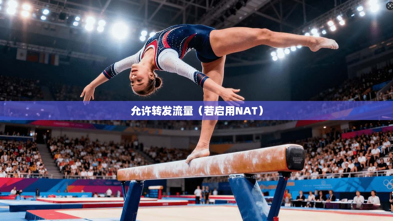 允许转发流量（若启用NAT）