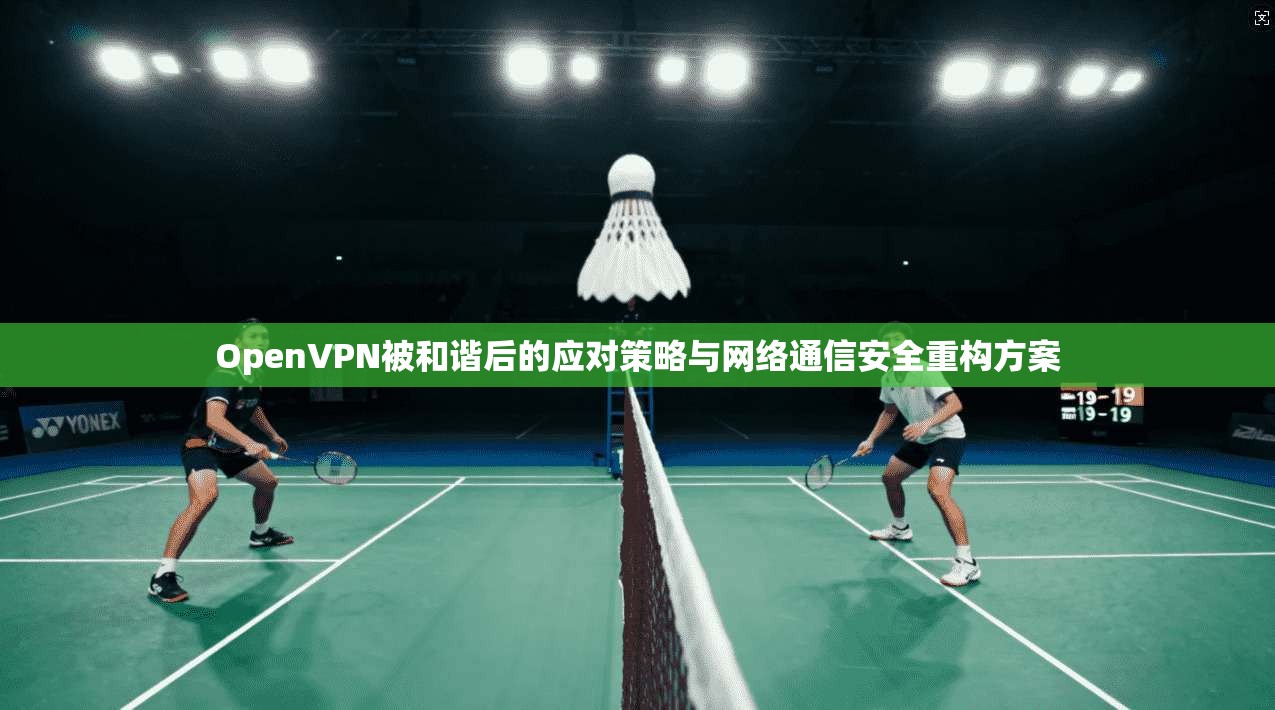 OpenVPN被和谐后的应对策略与网络通信安全重构方案
