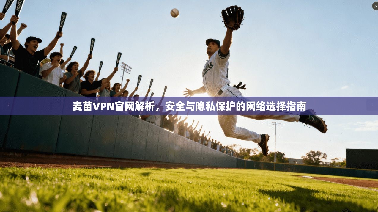 麦苗VPN官网解析,安全与隐私保护的网络选择指南 麦苗VPN官网解析,安全与隐私保护的网络选择指南