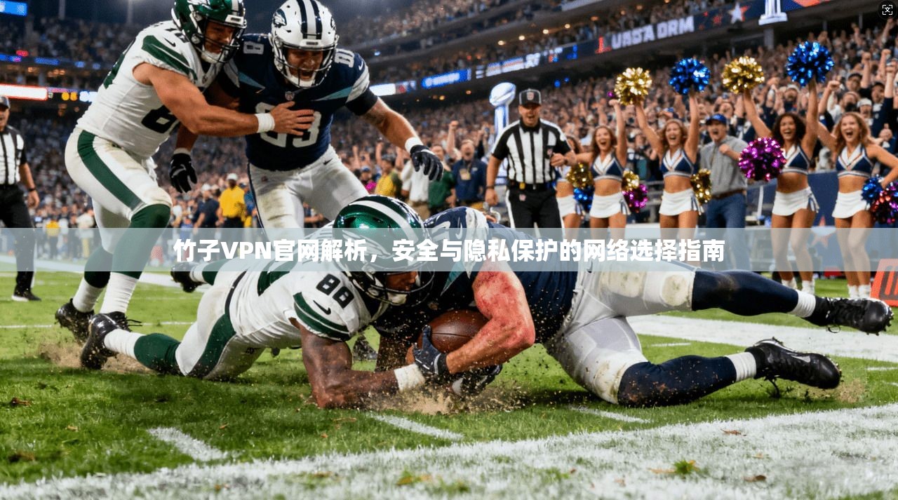 竹子VPN官网解析,安全与隐私保护的网络选择指南 竹子VPN官网解析,安全与隐私保护的网络选择指南