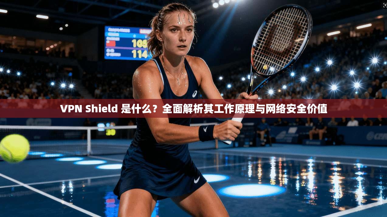 VPN Shield 是什么?全面解析其工作原理与网络安全价值