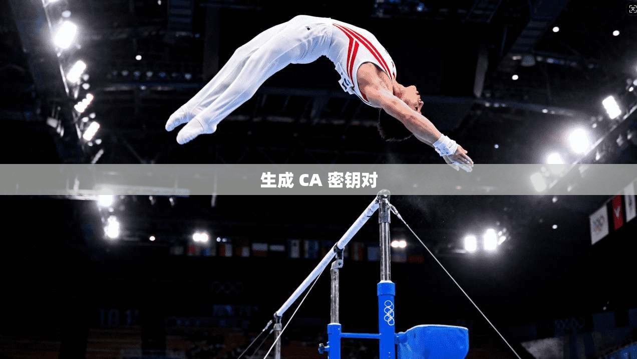 生成 CA 密钥对 生成 CA 密钥对