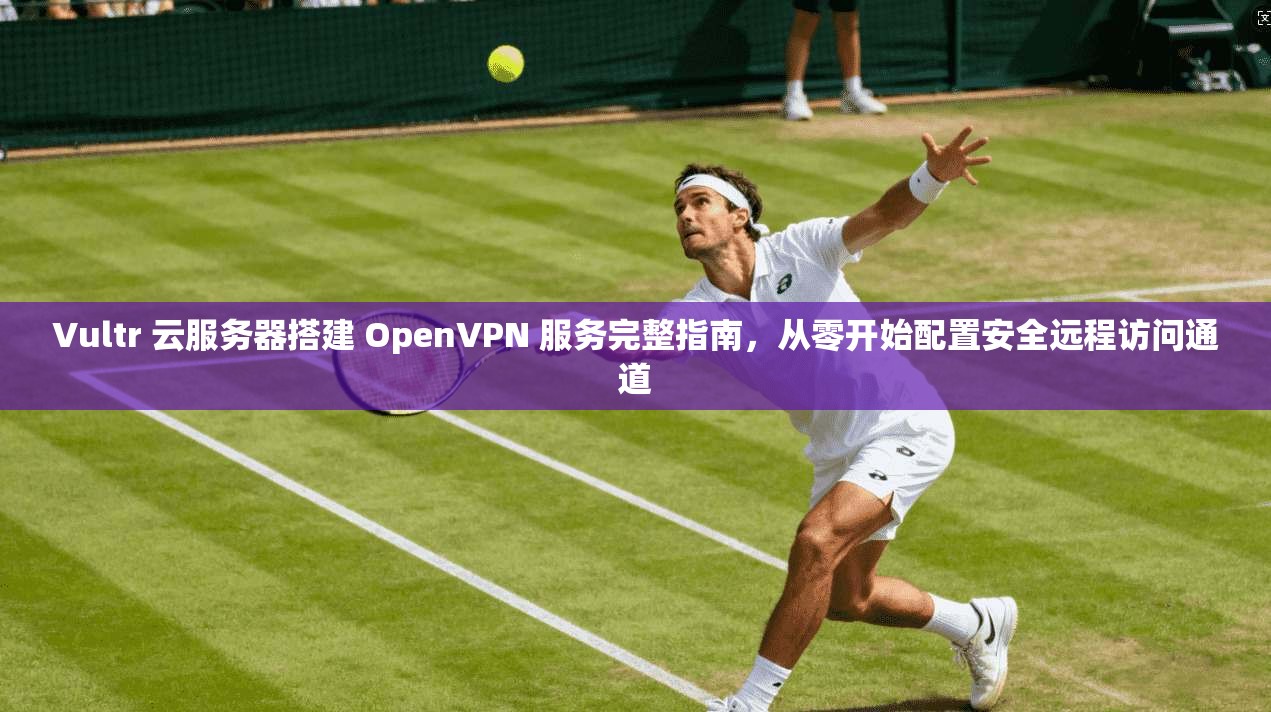 Vultr 云服务器搭建 OpenVPN 服务完整指南,从零开始配置安全远程访问通道 Vultr 云服务器搭建 OpenVPN 服务完整指南,从零开始配置安全远程访问通道