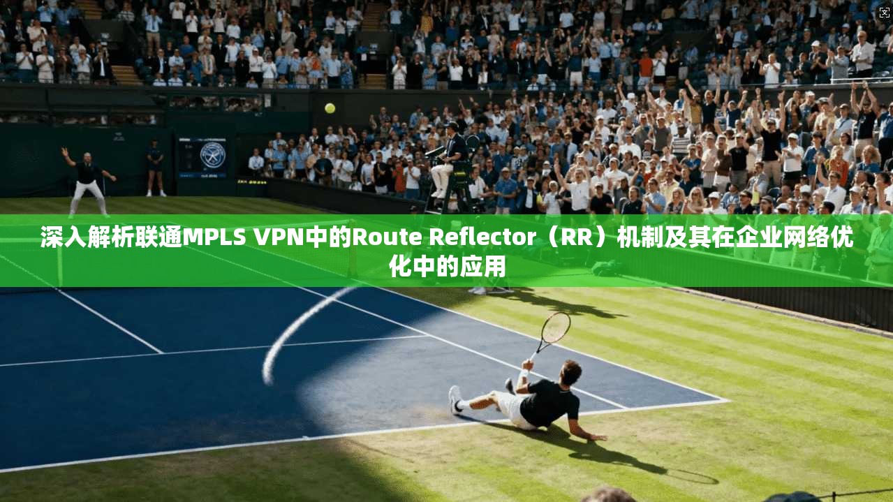 深入解析联通MPLS VPN中的Route Reflector(RR)机制及其在企业网络优化中的应用 深入解析联通MPLS VPN中的Route Reflector(RR)机制及其在企业网络优化中的应用