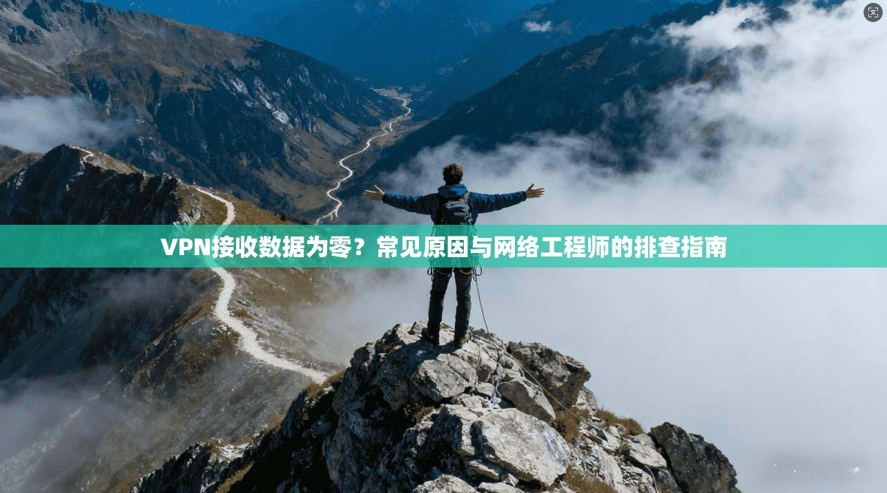 VPN接收数据为零？常见原因与网络工程师的排查指南