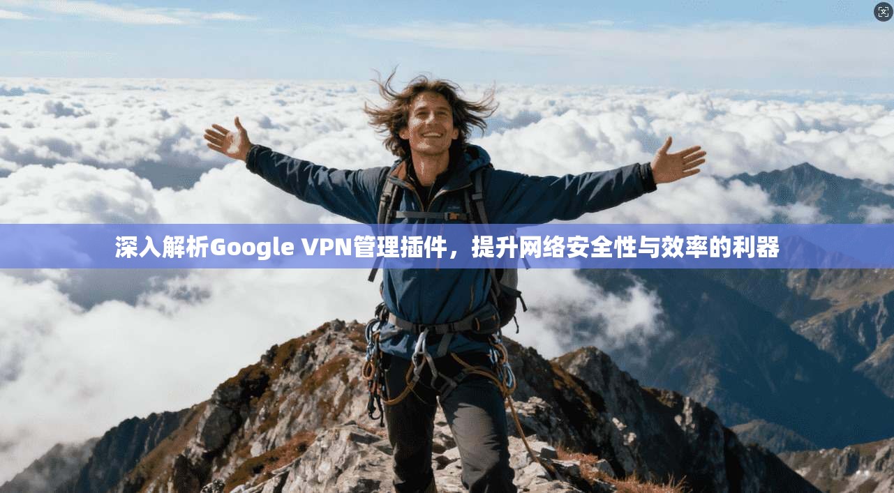深入解析Google VPN管理插件,提升网络安全性与效率的利器